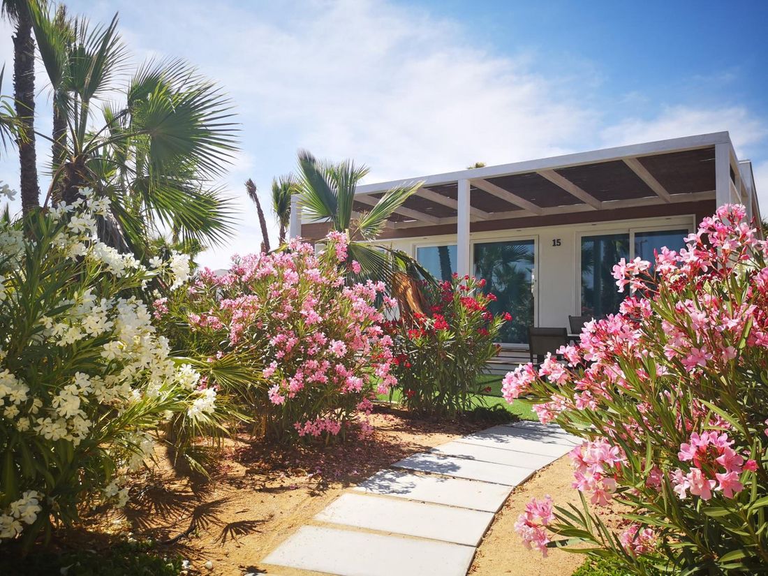Alannia Costa Blanca photo 3
