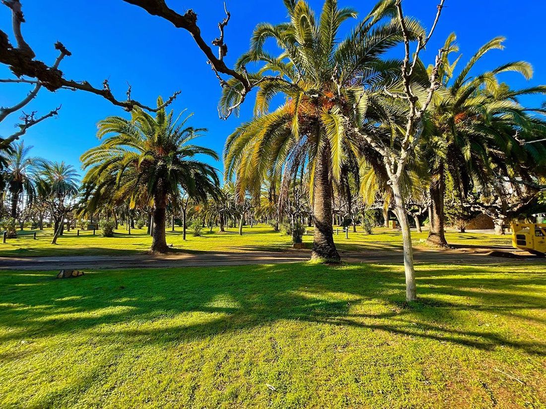 Camping & Resort La Torre del Sol photo 4