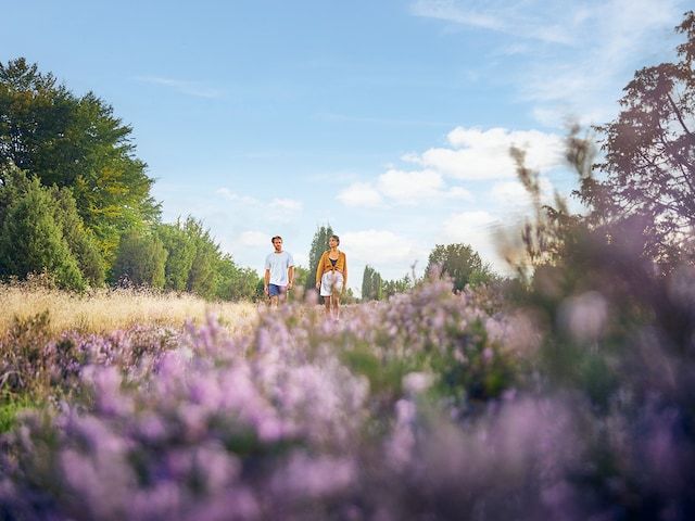 Center Parcs Het Meerdal photo 5