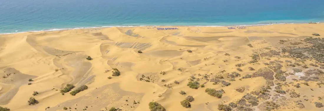 Mirador Maspalomas by Dunas photo 4