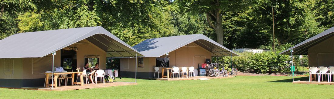 Molecaten Park Bosbad Hoeven photo 3