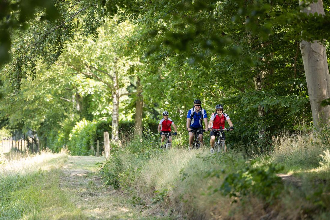 Vakantiepark De Twee Bruggen photo 5